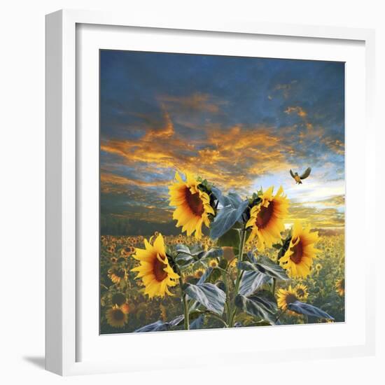 Sunflower And Bird-Ata Alishahi-Framed Giclee Print