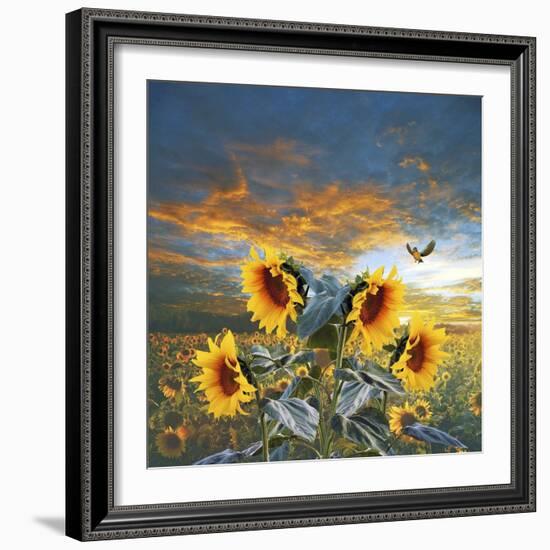 Sunflower And Bird-Ata Alishahi-Framed Giclee Print