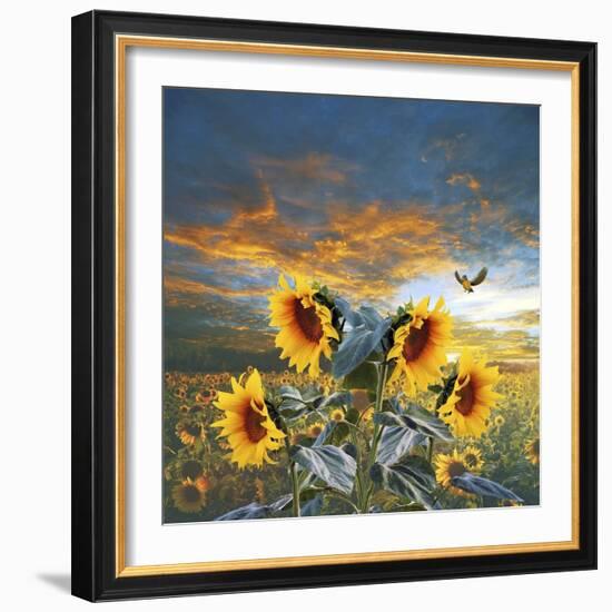 Sunflower And Bird-Ata Alishahi-Framed Giclee Print