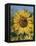 Sunflower and Butterflies-William Vanderdasson-Framed Premier Image Canvas