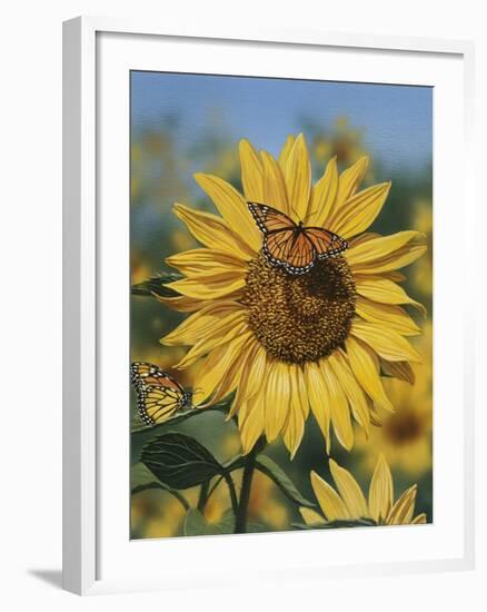 Sunflower and Butterflies-William Vanderdasson-Framed Giclee Print