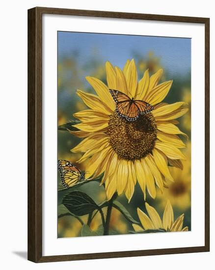 Sunflower and Butterflies-William Vanderdasson-Framed Giclee Print