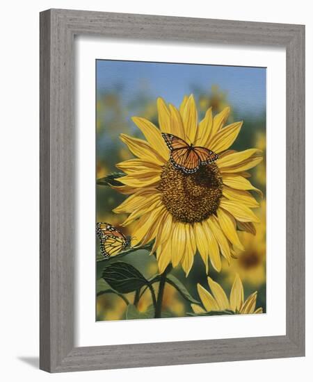 Sunflower and Butterflies-William Vanderdasson-Framed Giclee Print