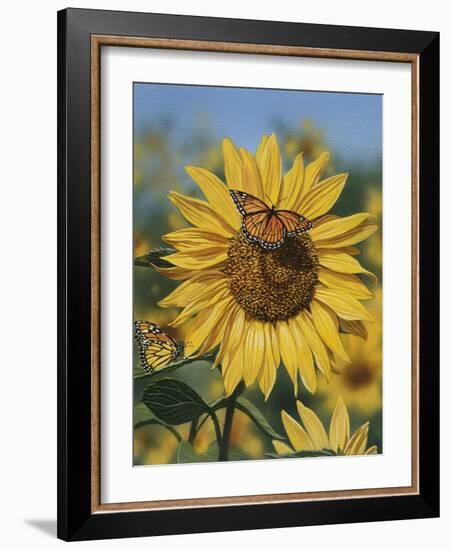 Sunflower and Butterflies-William Vanderdasson-Framed Giclee Print