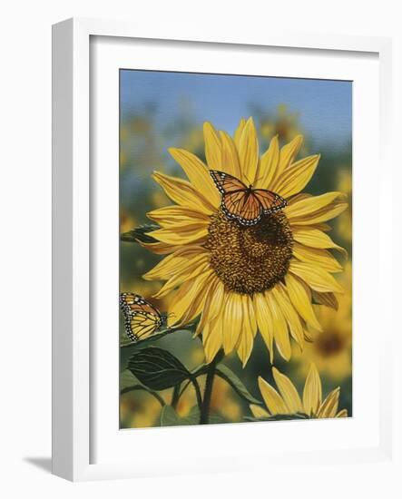 Sunflower and Butterflies-William Vanderdasson-Framed Giclee Print