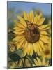 Sunflower and Butterflies-William Vanderdasson-Mounted Giclee Print