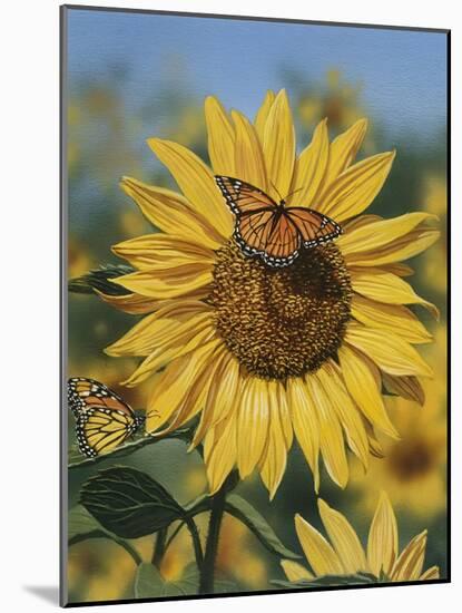 Sunflower and Butterflies-William Vanderdasson-Mounted Giclee Print