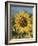 Sunflower and Butterflies-William Vanderdasson-Framed Giclee Print