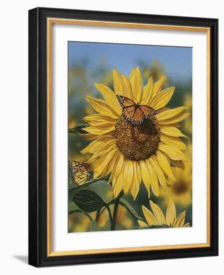 Sunflower and Butterflies-William Vanderdasson-Framed Giclee Print