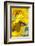 Sunflower and Monarch-Lynn M^ Stone-Framed Photographic Print