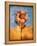 Sunflower and Sky-Colin Anderson-Framed Premier Image Canvas