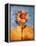 Sunflower and Sky-Colin Anderson-Framed Premier Image Canvas