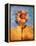 Sunflower and Sky-Colin Anderson-Framed Premier Image Canvas