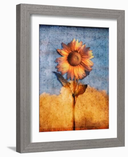 Sunflower and Sky-Colin Anderson-Framed Photographic Print