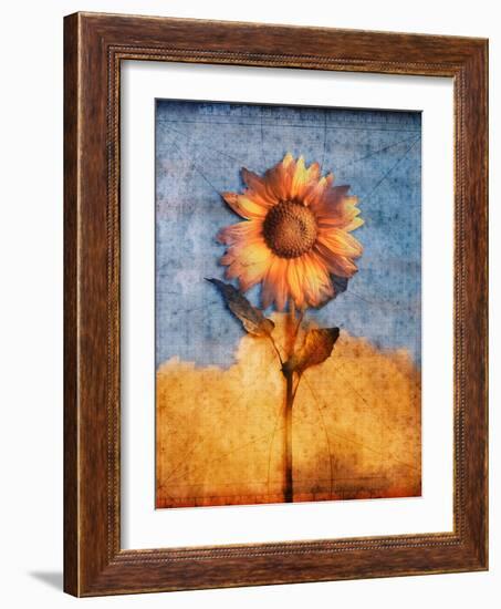 Sunflower and Sky-Colin Anderson-Framed Photographic Print