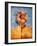 Sunflower and Sky-Colin Anderson-Framed Photographic Print