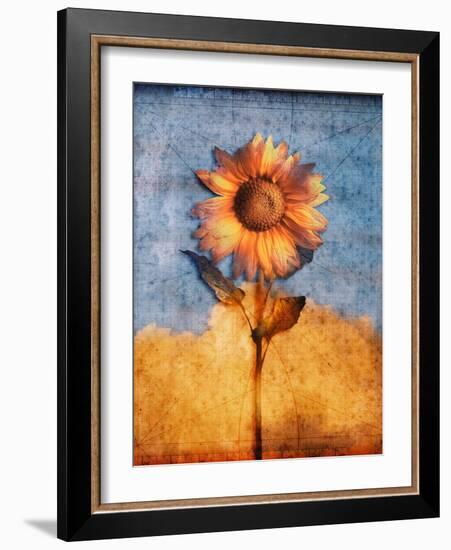 Sunflower and Sky-Colin Anderson-Framed Photographic Print