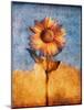 Sunflower and Sky-Colin Anderson-Mounted Photographic Print
