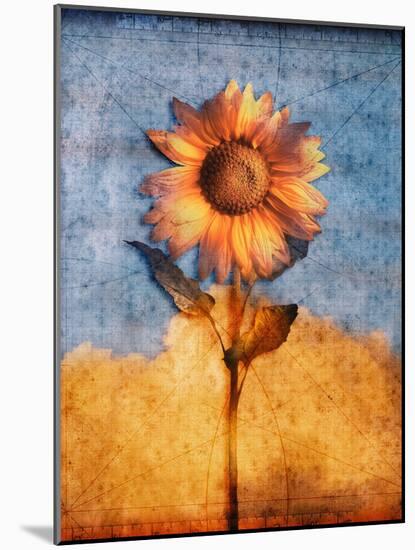 Sunflower and Sky-Colin Anderson-Mounted Photographic Print