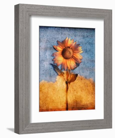 Sunflower and Sky-Colin Anderson-Framed Photographic Print