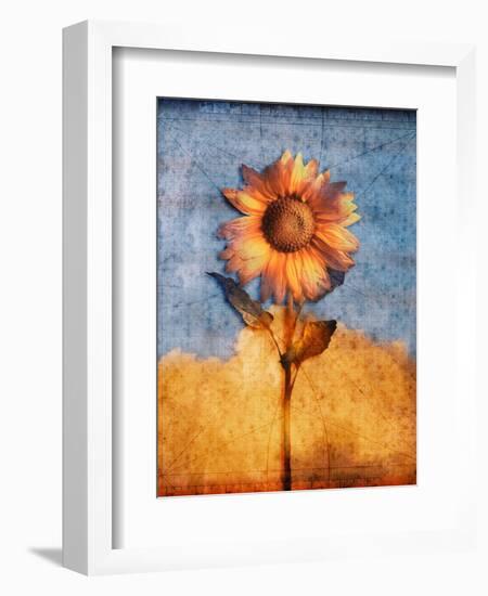 Sunflower and Sky-Colin Anderson-Framed Photographic Print