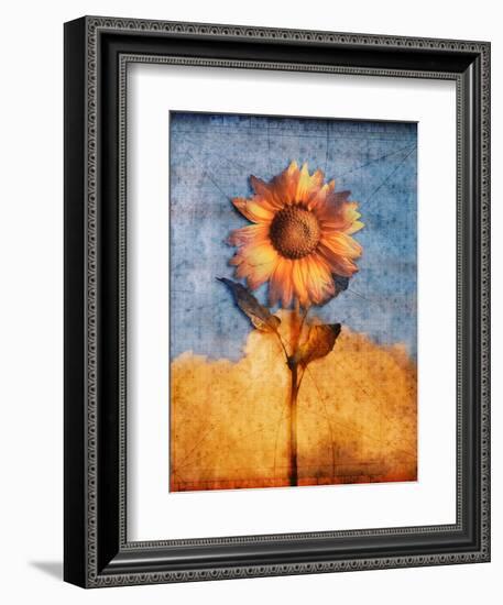 Sunflower and Sky-Colin Anderson-Framed Photographic Print