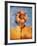 Sunflower and Sky-Colin Anderson-Framed Photographic Print