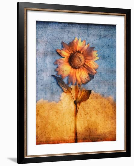 Sunflower and Sky-Colin Anderson-Framed Photographic Print