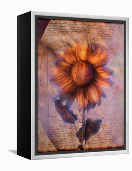Sunflower and Text-Colin Anderson-Framed Premier Image Canvas