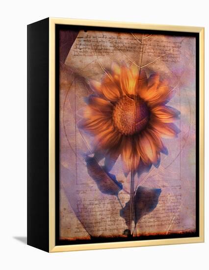 Sunflower and Text-Colin Anderson-Framed Premier Image Canvas