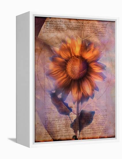 Sunflower and Text-Colin Anderson-Framed Premier Image Canvas