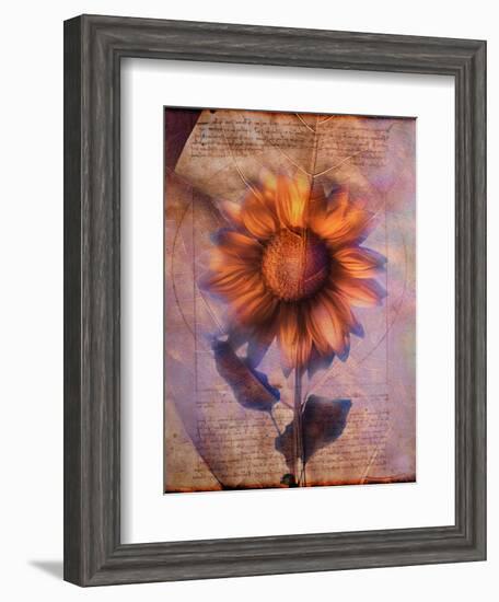 Sunflower and Text-Colin Anderson-Framed Photographic Print