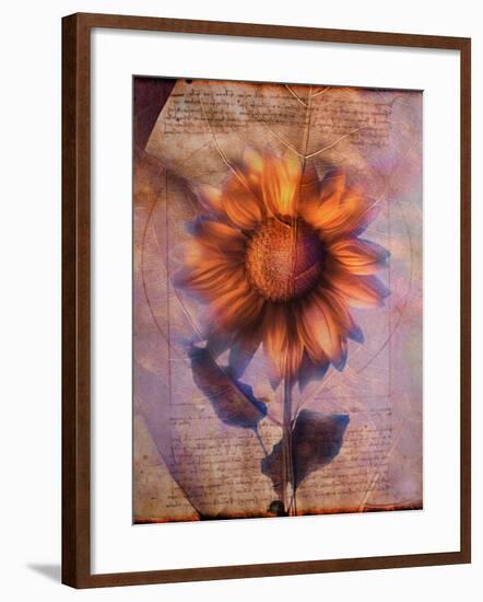 Sunflower and Text-Colin Anderson-Framed Photographic Print