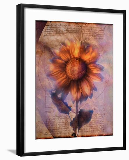 Sunflower and Text-Colin Anderson-Framed Photographic Print