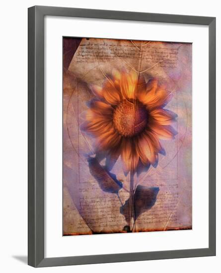 Sunflower and Text-Colin Anderson-Framed Photographic Print