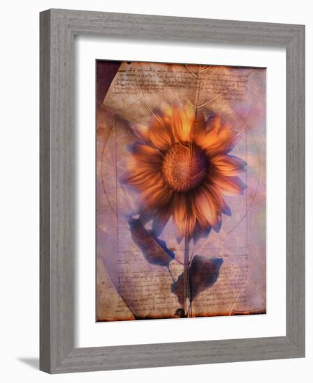 Sunflower and Text-Colin Anderson-Framed Photographic Print