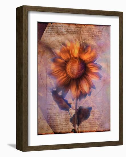 Sunflower and Text-Colin Anderson-Framed Photographic Print