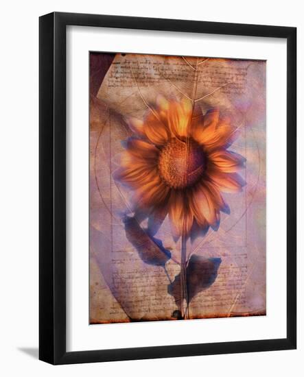 Sunflower and Text-Colin Anderson-Framed Photographic Print