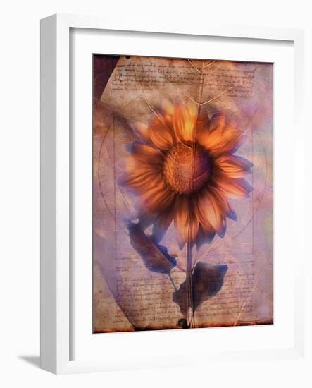 Sunflower and Text-Colin Anderson-Framed Photographic Print