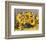 Sunflower Arrangement II-null-Framed Premium Giclee Print