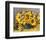 Sunflower Arrangement II-null-Framed Premium Giclee Print