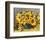 Sunflower Arrangement II-null-Framed Premium Giclee Print