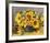 Sunflower Arrangement II-null-Framed Premium Giclee Print