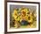 Sunflower Arrangement II-null-Framed Premium Giclee Print