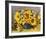 Sunflower Arrangement II-null-Framed Premium Giclee Print