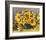 Sunflower Arrangement II-null-Framed Art Print