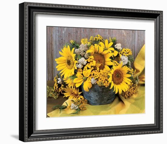 Sunflower Arrangement II-null-Framed Art Print