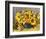 Sunflower Arrangement II-null-Framed Art Print