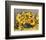 Sunflower Arrangement II-null-Framed Art Print