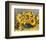 Sunflower Arrangement II-null-Framed Art Print